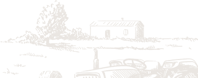 SN International Trade