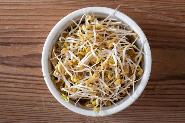 Fenugreek Sprouting Seeds