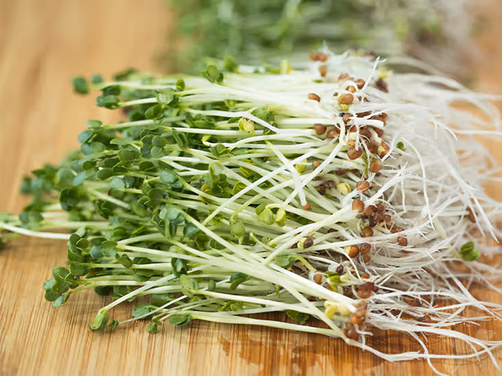 Broccoli Sprouting Seeds