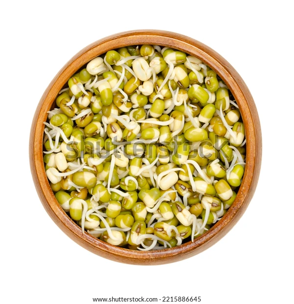 Mung Bean Sprouting Seeds